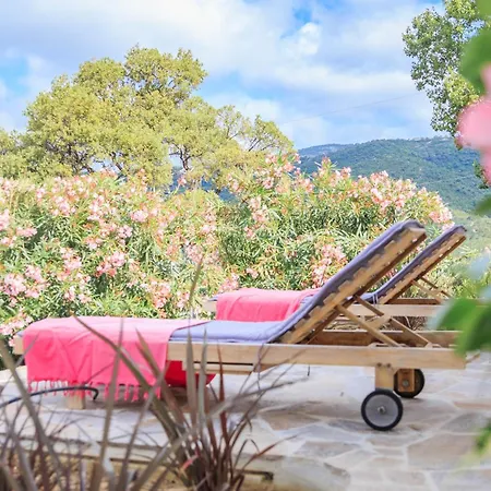 Villa Nais B&B Bormes-les-Mimosas Exterior photo