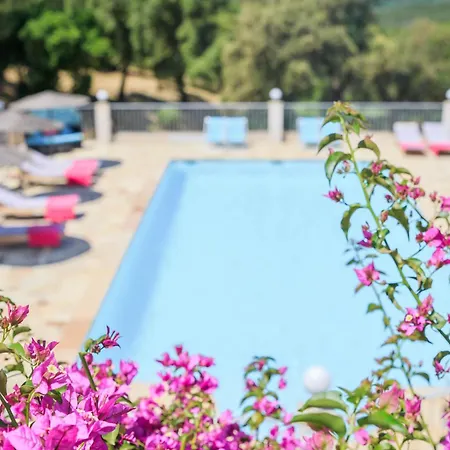 Villa Nais B&B Bormes-les-Mimosas Exterior photo
