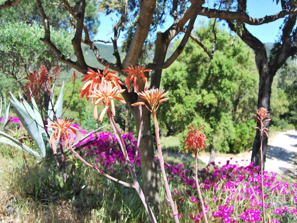 Bed & Breakfast Nais Bormes-les-Mimosas